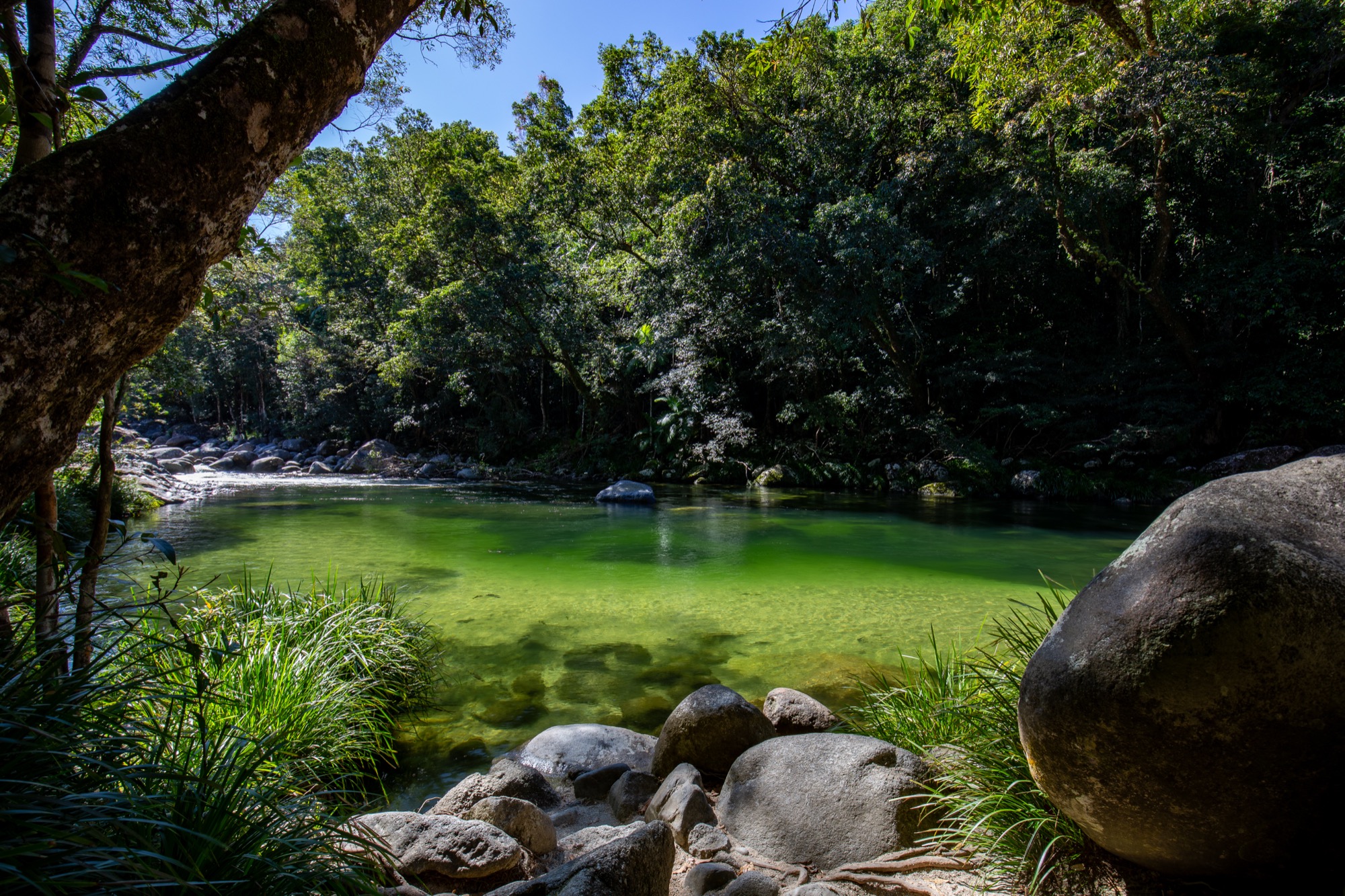 Mossman Gorge